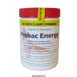 Probac Energy 500 g