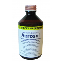 AEROSOL 250 ml